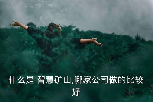 什么是 智慧礦山,哪家公司做的比較好