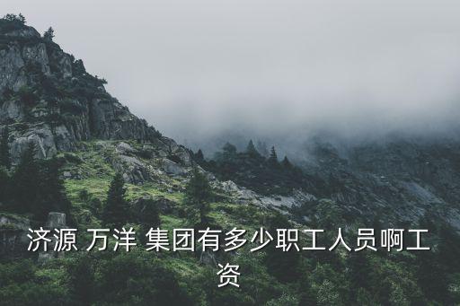 濟(jì)源 萬洋 集團(tuán)有多少職工人員啊工資