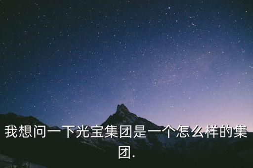 我想問一下光寶集團(tuán)是一個怎么樣的集團(tuán).