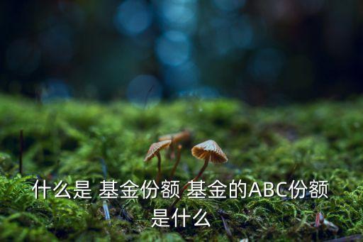 什么是 基金份額 基金的ABC份額是什么