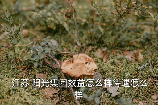  江蘇 陽(yáng)光集團(tuán)效益怎么樣待遇怎么樣