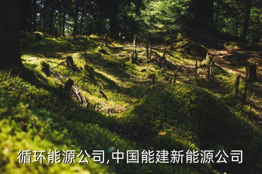 中國循環(huán)能源公司,中國能建新能源公司