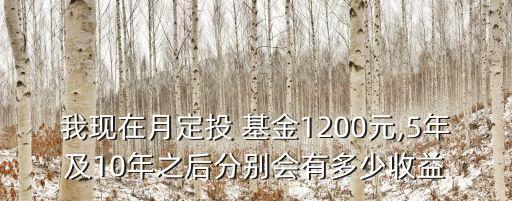 我現(xiàn)在月定投 基金1200元,5年及10年之后分別會有多少收益