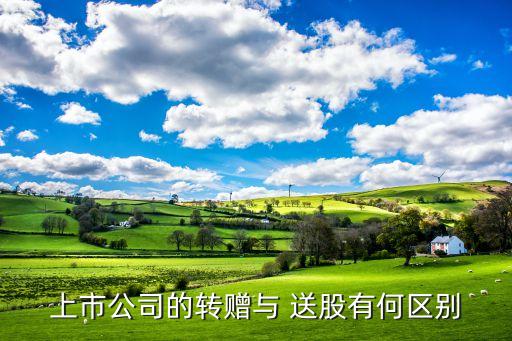 上市公司的轉(zhuǎn)贈與 送股有何區(qū)別