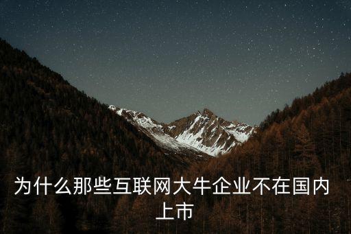 為什么那些互聯(lián)網(wǎng)大牛企業(yè)不在國(guó)內(nèi) 上市