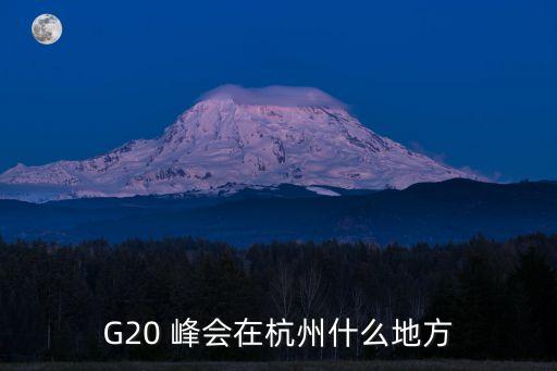 G20 峰會在杭州什么地方