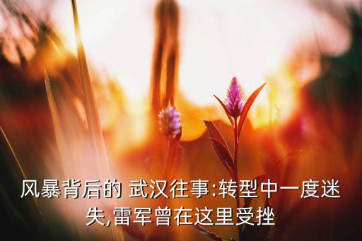 風(fēng)暴背后的 武漢往事:轉(zhuǎn)型中一度迷失,雷軍曾在這里受挫