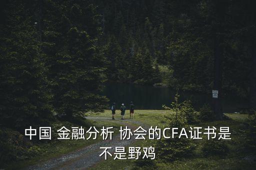 中國 金融分析 協(xié)會的CFA證書是不是野雞