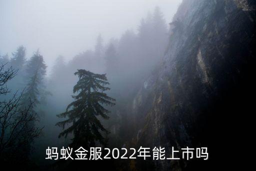 螞蟻金服2022年能上市嗎