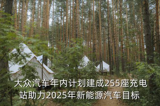  大眾汽車年內(nèi)計(jì)劃建成255座充電站助力2025年新能源汽車目標(biāo)