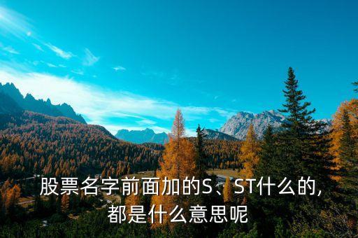  股票名字前面加的S、ST什么的,都是什么意思呢