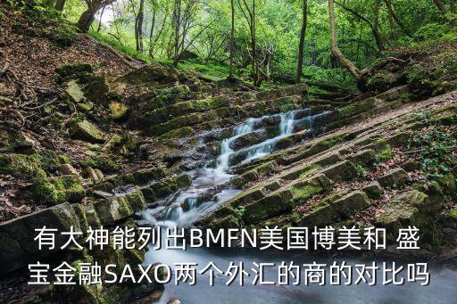 有大神能列出BMFN美國博美和 盛寶金融SAXO兩個(gè)外匯的商的對(duì)比嗎