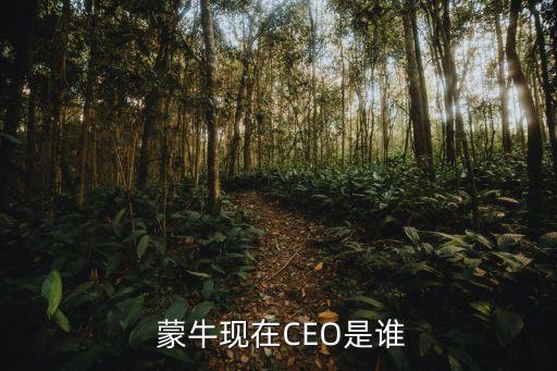  蒙牛現(xiàn)在CEO是誰(shuí)