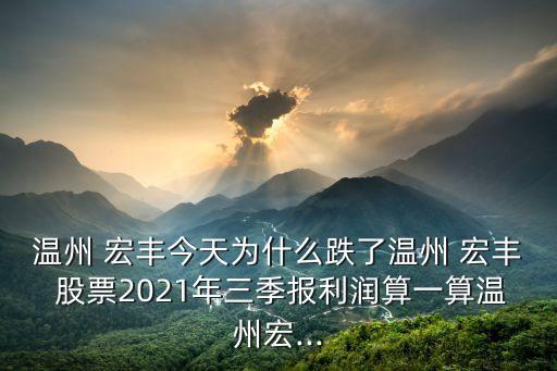 溫州 宏豐今天為什么跌了溫州 宏豐 股票2021年三季報利潤算一算溫州宏...