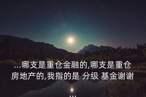 ...哪支是重倉金融的,哪支是重倉房地產(chǎn)的,我指的是 分級 基金謝謝...