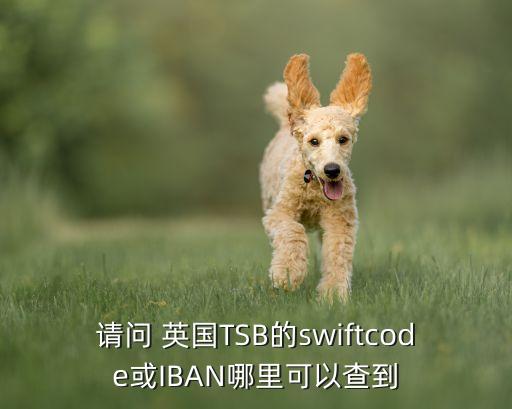 請(qǐng)問(wèn) 英國(guó)TSB的swiftcode或IBAN哪里可以查到