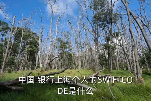 中國(guó) 銀行上海個(gè)人的SWIFTCODE是什么