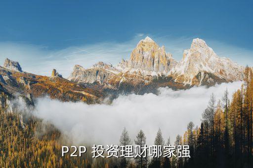 P2P 投資理財(cái)哪家強(qiáng)