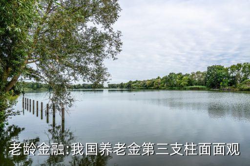 老齡金融:我國(guó)養(yǎng)老金第三支柱面面觀