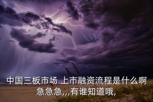 中國(guó)三板市場(chǎng) 上市融資流程是什么啊急急急,,,有誰知道哦,