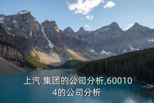  上汽 集團的公司分析,600104的公司分析