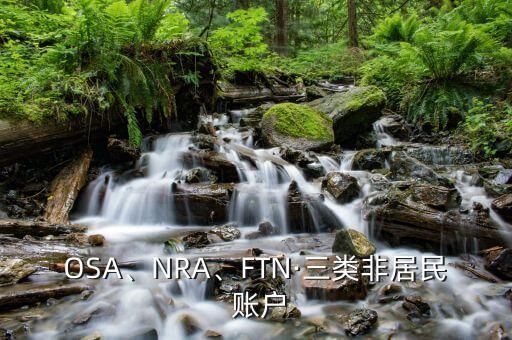 OSA、NRA、FTN·三類非居民 賬戶