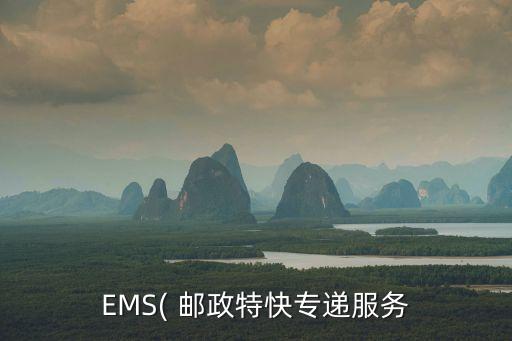 EMS( 郵政特快專遞服務(wù)