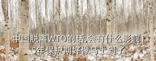 中國違反wto規(guī)則,我們違反了wto哪些規(guī)則