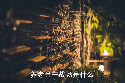 養(yǎng)老金主戰(zhàn)場是什么