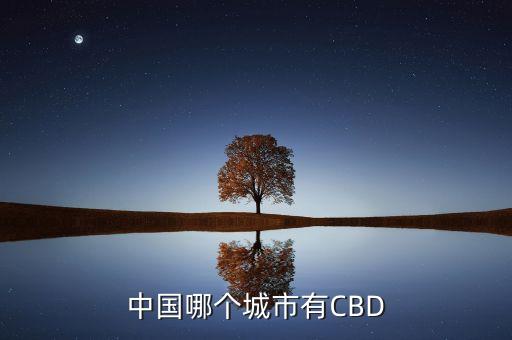 中國哪個城市有CBD