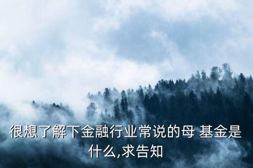 很想了解下金融行業(yè)常說的母 基金是什么,求告知