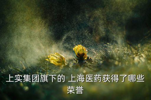 上實集團旗下的 上海醫(yī)藥獲得了哪些榮譽