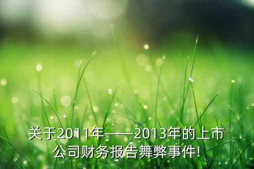 關于2011年——2013年的上市公司財務報告舞弊事件!