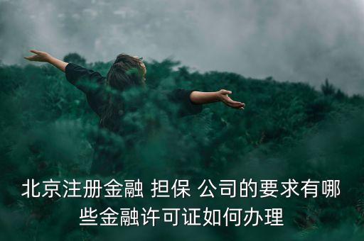 北京注冊(cè)金融 擔(dān)保 公司的要求有哪些金融許可證如何辦理