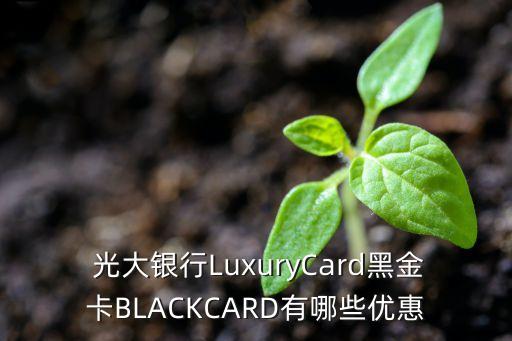  光大銀行LuxuryCard黑金卡BLACKCARD有哪些優(yōu)惠