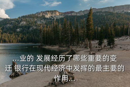 ...業(yè)的 發(fā)展經(jīng)歷了哪些重要的變遷 銀行在現(xiàn)代經(jīng)濟中發(fā)揮的最主要的作用...