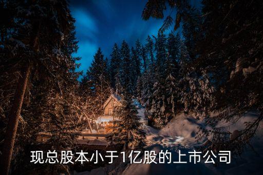 鳳陽(yáng)德力股份有限公司,安徽鳳陽(yáng)玻璃股份有限公司