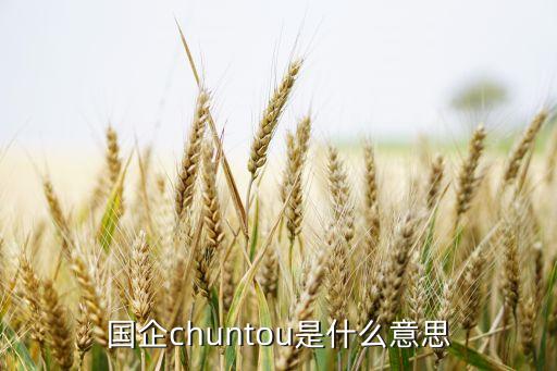 國(guó)企chuntou是什么意思