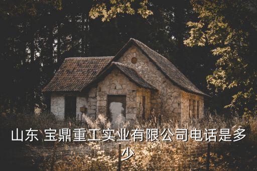 山東 寶鼎重工實業(yè)有限公司電話是多少