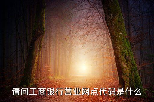 請(qǐng)問(wèn)工商銀行營(yíng)業(yè)網(wǎng)點(diǎn)代碼是什么