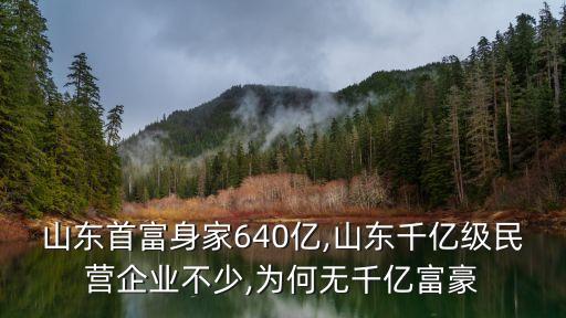 山東首富身家640億,山東千億級民營企業(yè)不少,為何無千億富豪