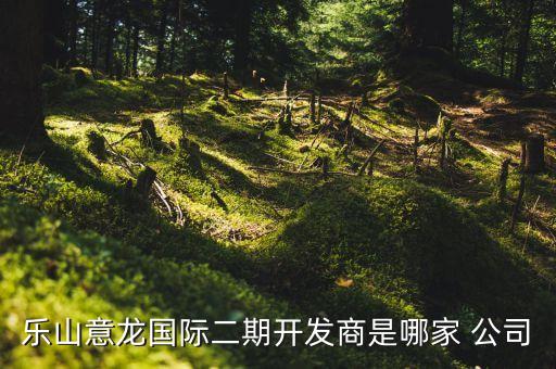 樂山意龍國(guó)際二期開發(fā)商是哪家 公司