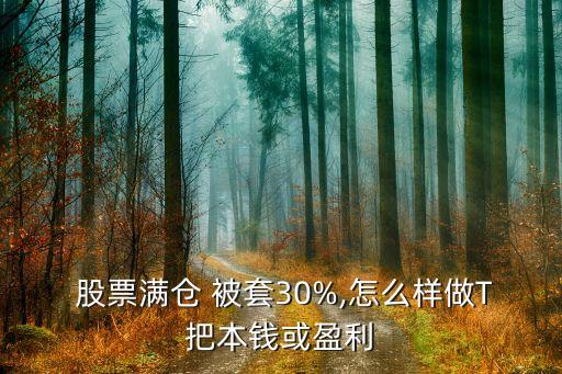  股票滿倉(cāng) 被套30%,怎么樣做T把本錢(qián)或盈利