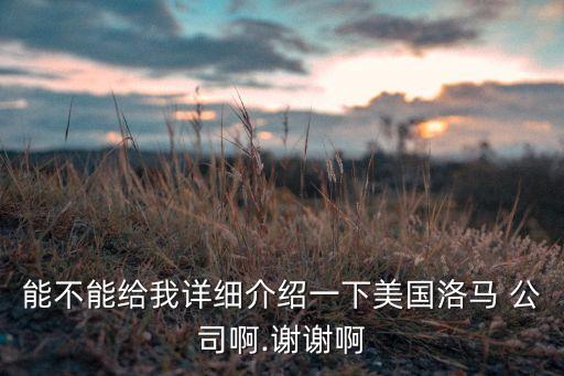 能不能給我詳細(xì)介紹一下美國洛馬 公司啊.謝謝啊