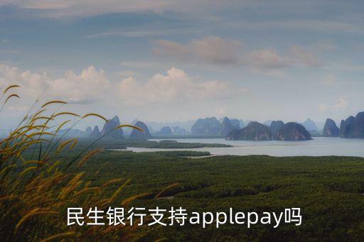  民生銀行支持applepay嗎