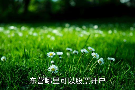 百拓商旅公司簡(jiǎn)介,南京安百拓公司簡(jiǎn)介