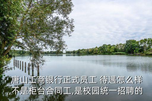  唐山工商銀行正式員工 待遇怎么樣,不是柜臺合同工,是校園統(tǒng)一招聘的