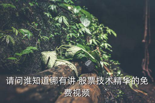 請(qǐng)問誰知道哪有講 股票技術(shù)精華的免費(fèi)視頻