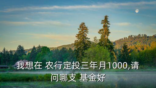 我想在 農行定投三年月1000,請問哪支 基金好