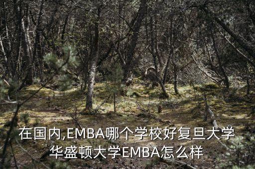 在國內(nèi),EMBA哪個學(xué)校好復(fù)旦大學(xué)華盛頓大學(xué)EMBA怎么樣